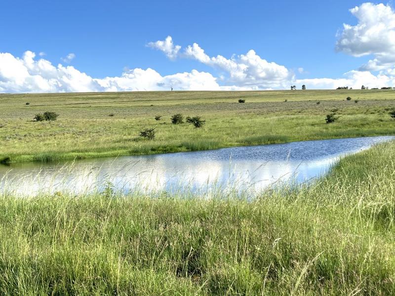 0 Bedroom Property for Sale in Bethlehem Rural Free State